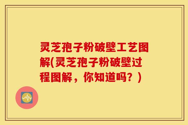灵芝孢子粉破壁工艺图解(灵芝孢子粉破壁过程图解，你知道吗？)