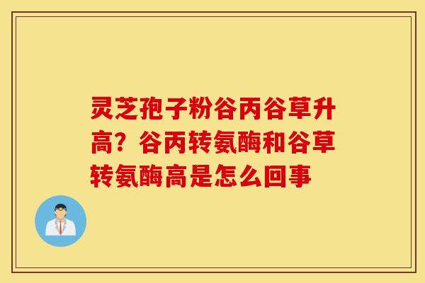 灵芝孢子粉谷丙谷草升高？谷丙转氨酶和谷草转氨酶高是怎么回事
