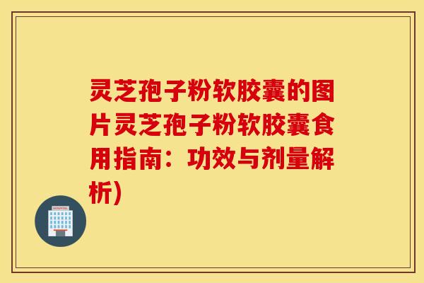 灵芝孢子粉软胶囊的图片灵芝孢子粉软胶囊食用指南：功效与剂量解析)