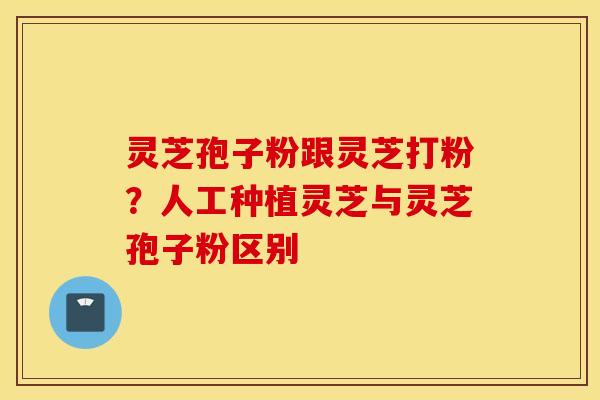灵芝孢子粉跟灵芝打粉？人工种植灵芝与灵芝孢子粉区别