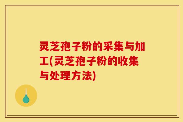 灵芝孢子粉的采集与加工(灵芝孢子粉的收集与处理方法)