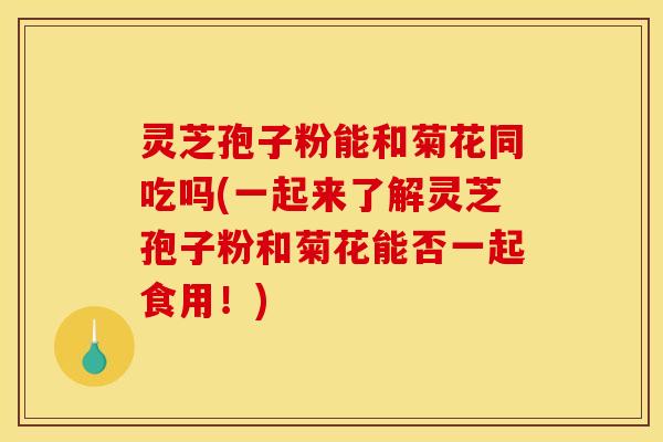 灵芝孢子粉能和菊花同吃吗(一起来了解灵芝孢子粉和菊花能否一起食用！)