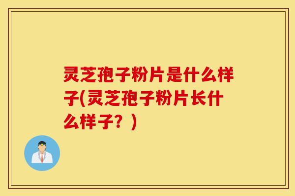 灵芝孢子粉片是什么样子(灵芝孢子粉片长什么样子？)