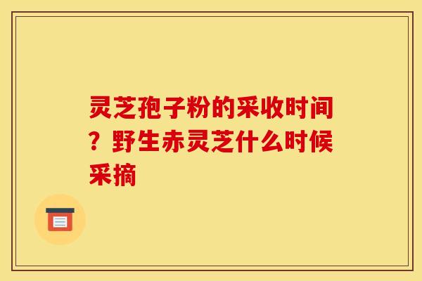 灵芝孢子粉的采收时间？野生赤灵芝什么时候采摘