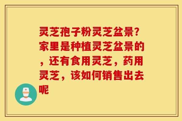 灵芝孢子粉灵芝盆景？家里是种植灵芝盆景的，还有食用灵芝，药用灵芝，该如何销售出去呢