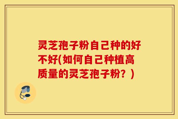 灵芝孢子粉自己种的好不好(如何自己种植高质量的灵芝孢子粉？)