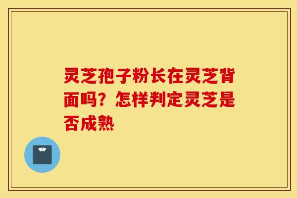 灵芝孢子粉长在灵芝背面吗？怎样判定灵芝是否成熟