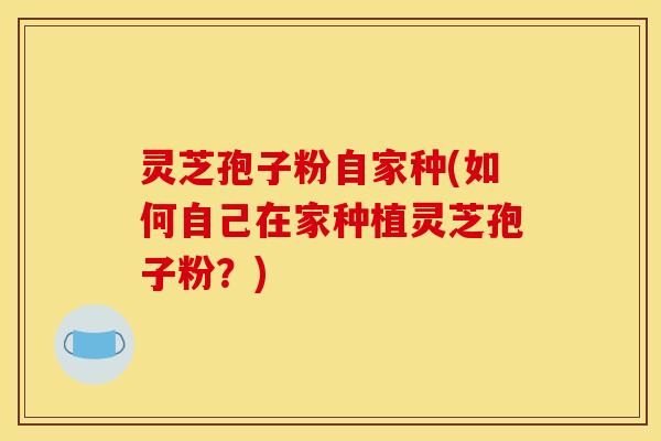 灵芝孢子粉自家种(如何自己在家种植灵芝孢子粉？)