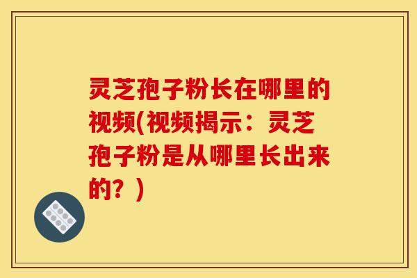 灵芝孢子粉长在哪里的视频(视频揭示：灵芝孢子粉是从哪里长出来的？)