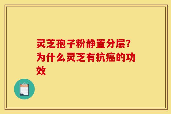 灵芝孢子粉静置分层？为什么灵芝有抗癌的功效