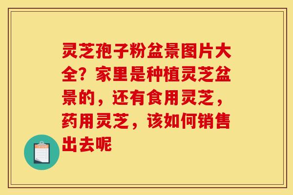 灵芝孢子粉盆景图片大全？家里是种植灵芝盆景的，还有食用灵芝，药用灵芝，该如何销售出去呢