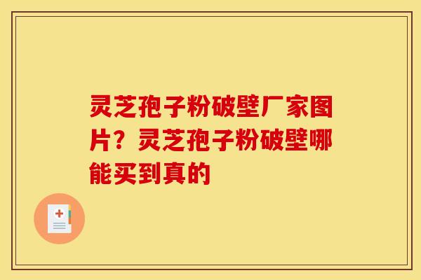 灵芝孢子粉破壁厂家图片？灵芝孢子粉破壁哪能买到真的