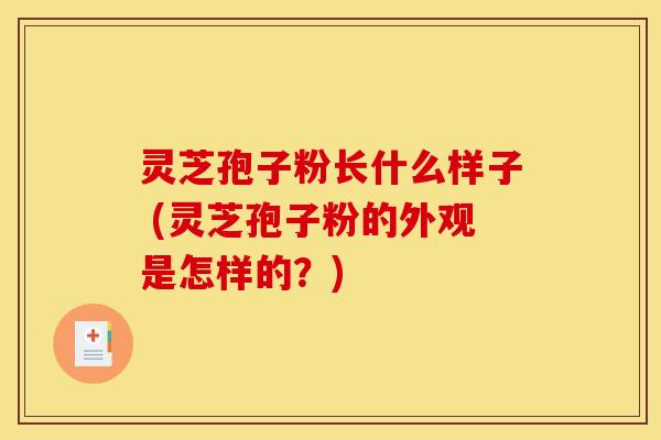 灵芝孢子粉长什么样子 (灵芝孢子粉的外观是怎样的？)