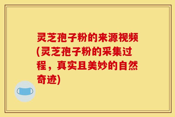 灵芝孢子粉的来源视频(灵芝孢子粉的采集过程，真实且美妙的自然奇迹)
