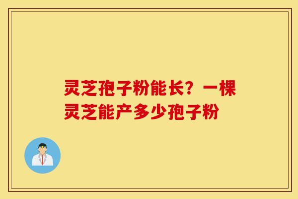 灵芝孢子粉能长？一棵灵芝能产多少孢子粉