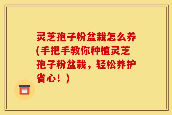 灵芝孢子粉盆栽怎么养(手把手教你种植灵芝孢子粉盆栽，轻松养护省心！)