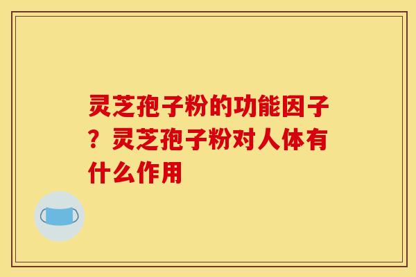 灵芝孢子粉的功能因子？灵芝孢子粉对人体有什么作用