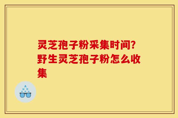 灵芝孢子粉采集时间？野生灵芝孢子粉怎么收集