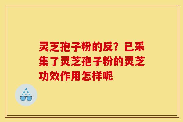 灵芝孢子粉的反？已采集了灵芝孢子粉的灵芝功效作用怎样呢