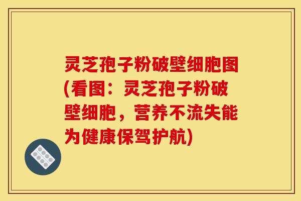 灵芝孢子粉破壁细胞图(看图：灵芝孢子粉破壁细胞，营养不流失能为健康保驾护航)