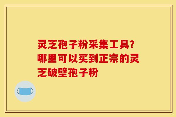 灵芝孢子粉采集工具？哪里可以买到正宗的灵芝破壁孢子粉