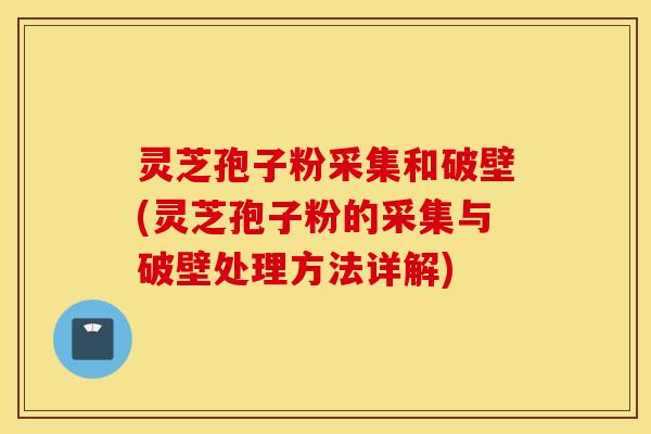 灵芝孢子粉采集和破壁(灵芝孢子粉的采集与破壁处理方法详解)