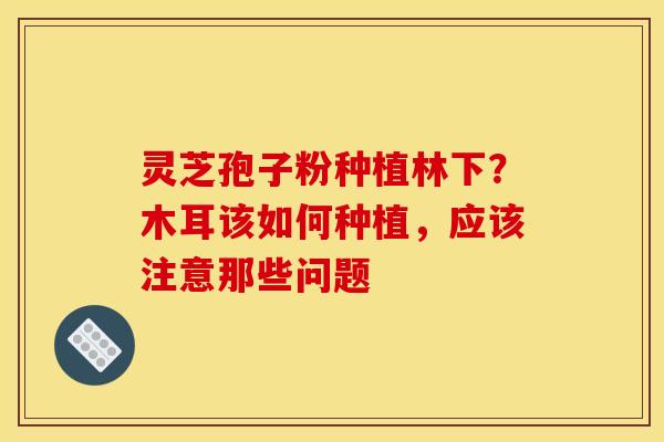 灵芝孢子粉种植林下？木耳该如何种植，应该注意那些问题