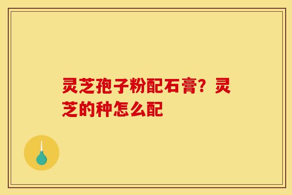灵芝孢子粉配石膏？灵芝的种怎么配