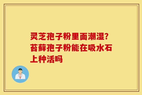 灵芝孢子粉里面潮湿？苔藓孢子粉能在吸水石上种活吗