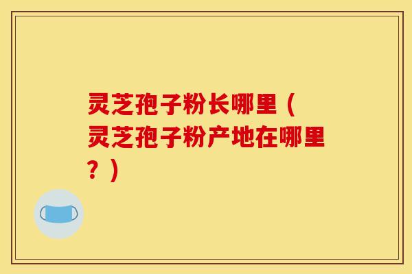 灵芝孢子粉长哪里 (灵芝孢子粉产地在哪里？)