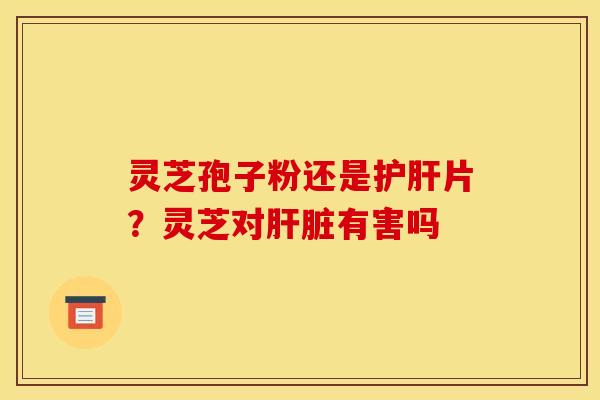 灵芝孢子粉还是护肝片？灵芝对肝脏有害吗