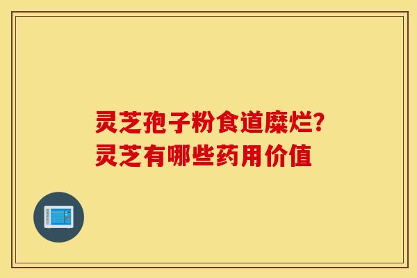 灵芝孢子粉食道糜烂？灵芝有哪些药用价值