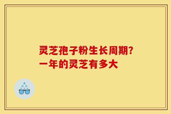 灵芝孢子粉生长周期？一年的灵芝有多大