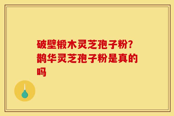 破壁椴木灵芝孢子粉？鹊华灵芝孢子粉是真的吗