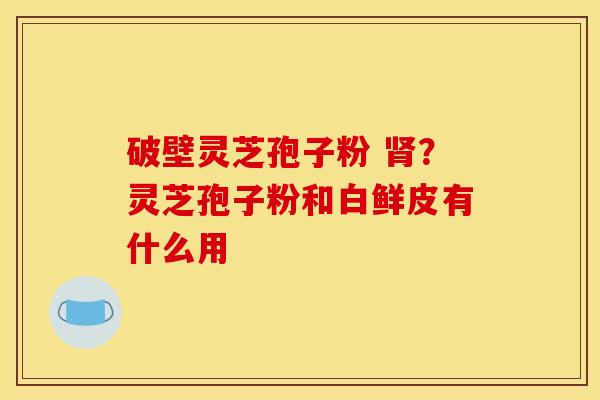 破壁灵芝孢子粉 肾？灵芝孢子粉和白鲜皮有什么用