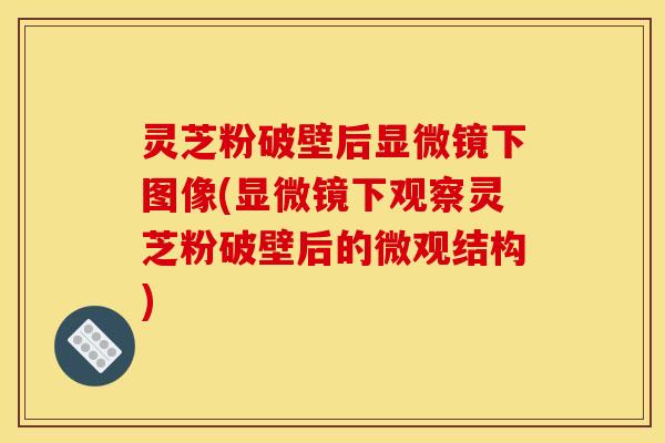 灵芝粉破壁后显微镜下图像(显微镜下观察灵芝粉破壁后的微观结构)