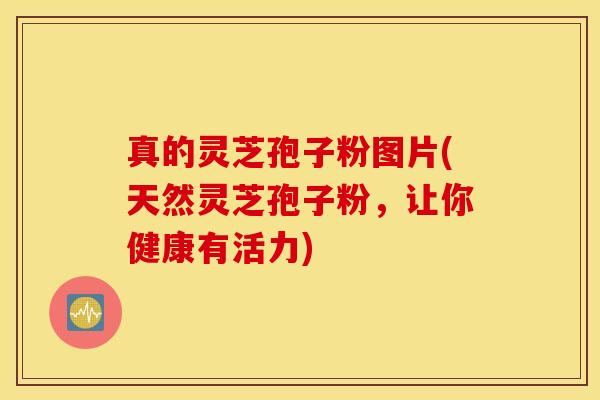 真的灵芝孢子粉图片(天然灵芝孢子粉，让你健康有活力)
