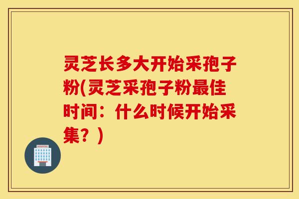 灵芝长多大开始采孢子粉(灵芝采孢子粉最佳时间：什么时候开始采集？)