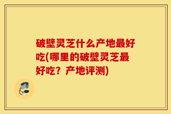 破壁灵芝什么产地最好吃(哪里的破壁灵芝最好吃？产地评测)