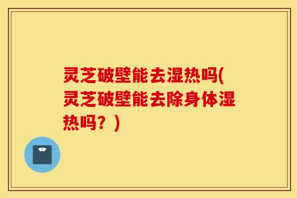 灵芝破壁能去湿热吗(灵芝破壁能去除身体湿热吗？)