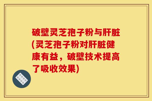 破壁灵芝孢子粉与肝脏(灵芝孢子粉对肝脏健康有益，破壁技术提高了吸收效果)