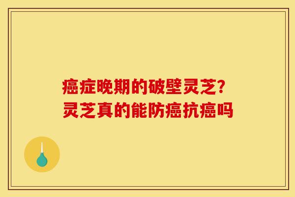 癌症晚期的破壁灵芝？灵芝真的能防癌抗癌吗