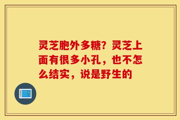 灵芝胞外多糖？灵芝上面有很多小孔，也不怎么结实，说是野生的