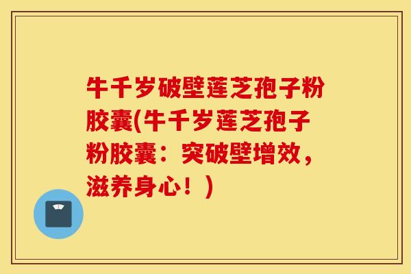 牛千岁破壁莲芝孢子粉胶囊(牛千岁莲芝孢子粉胶囊：突破壁增效，滋养身心！)