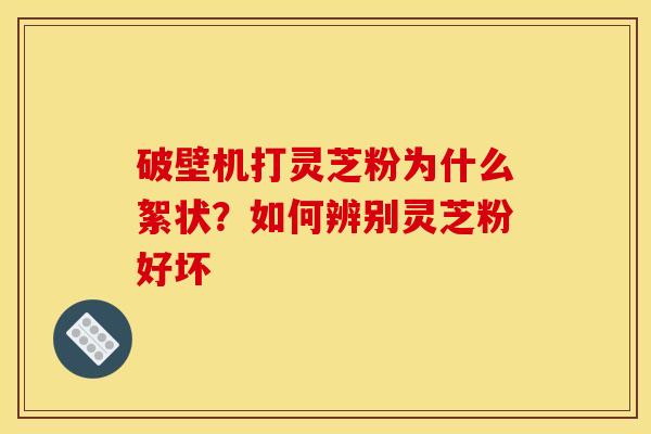 破壁机打灵芝粉为什么絮状？如何辨别灵芝粉好坏