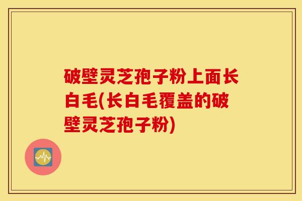 破壁灵芝孢子粉上面长白毛(长白毛覆盖的破壁灵芝孢子粉)
