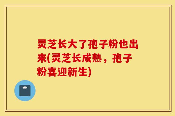 灵芝长大了孢子粉也出来(灵芝长成熟，孢子粉喜迎新生)