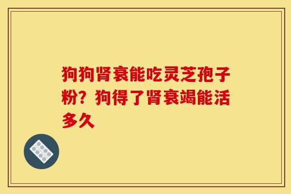狗狗肾衰能吃灵芝孢子粉？狗得了肾衰竭能活多久