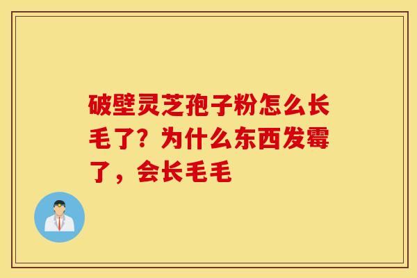 破壁灵芝孢子粉怎么长毛了？为什么东西发霉了，会长毛毛