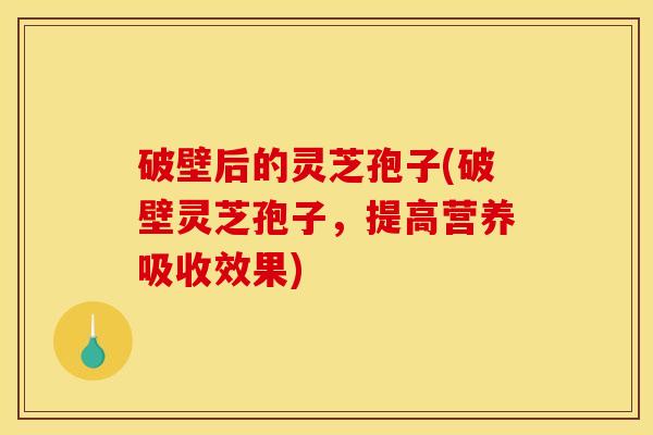 破壁后的灵芝孢子(破壁灵芝孢子，提高营养吸收效果)